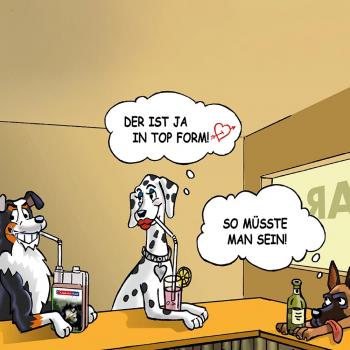 GladiatorPLUS Hund - die Milieufütterung